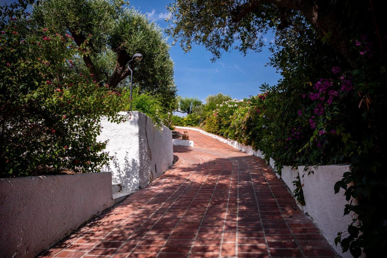 B&B Casabianca Palinuro Εξωτερικό φωτογραφία