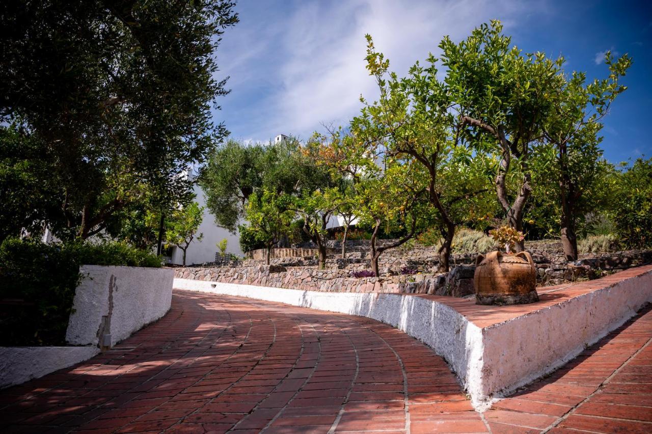 B&B Casabianca Palinuro Εξωτερικό φωτογραφία