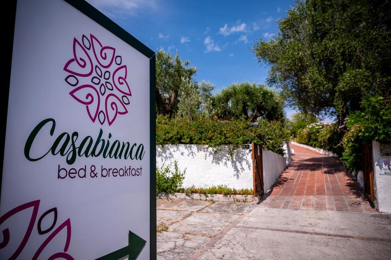 B&B Casabianca Palinuro Εξωτερικό φωτογραφία