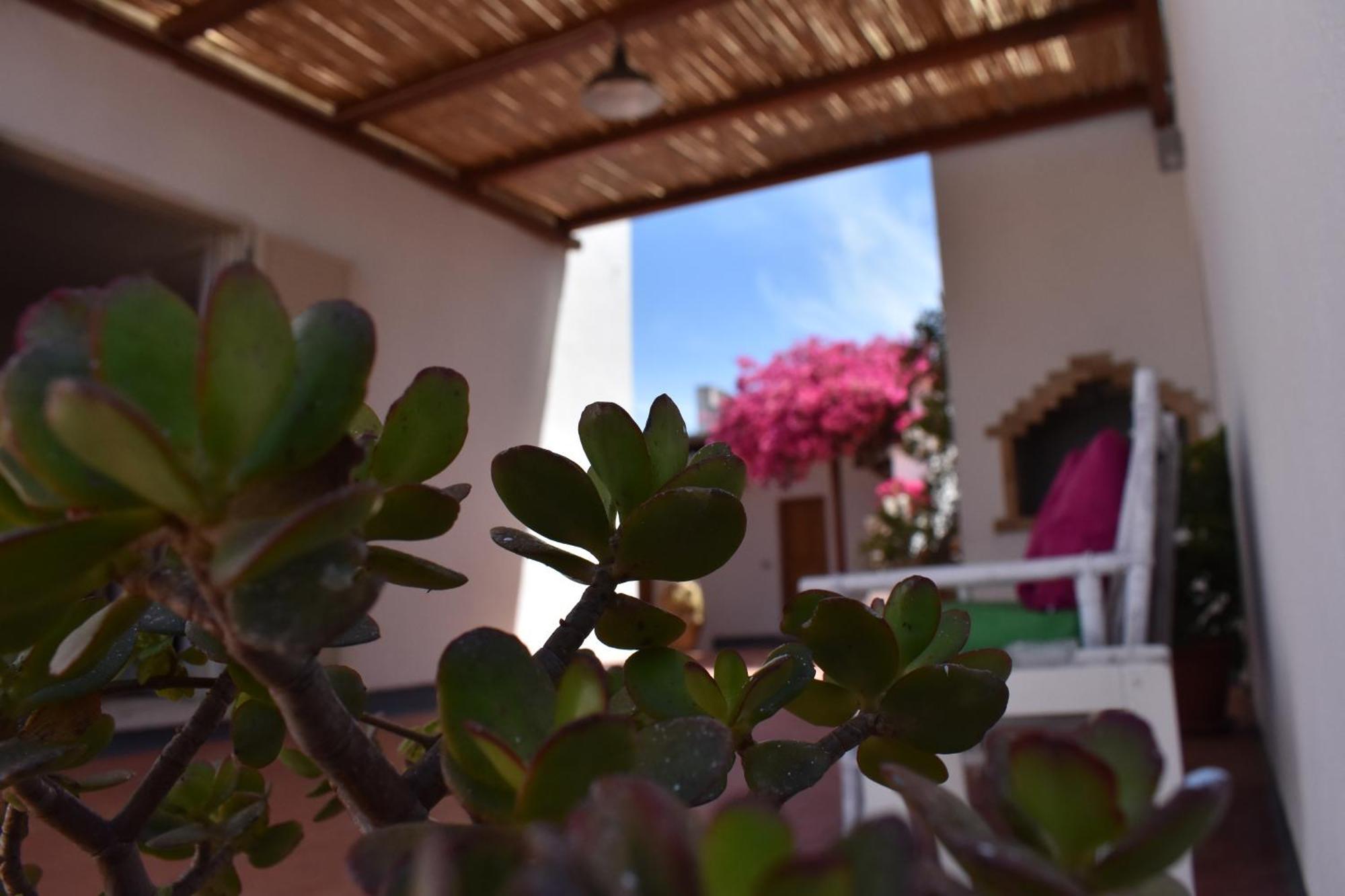 B&B Casabianca Palinuro Εξωτερικό φωτογραφία
