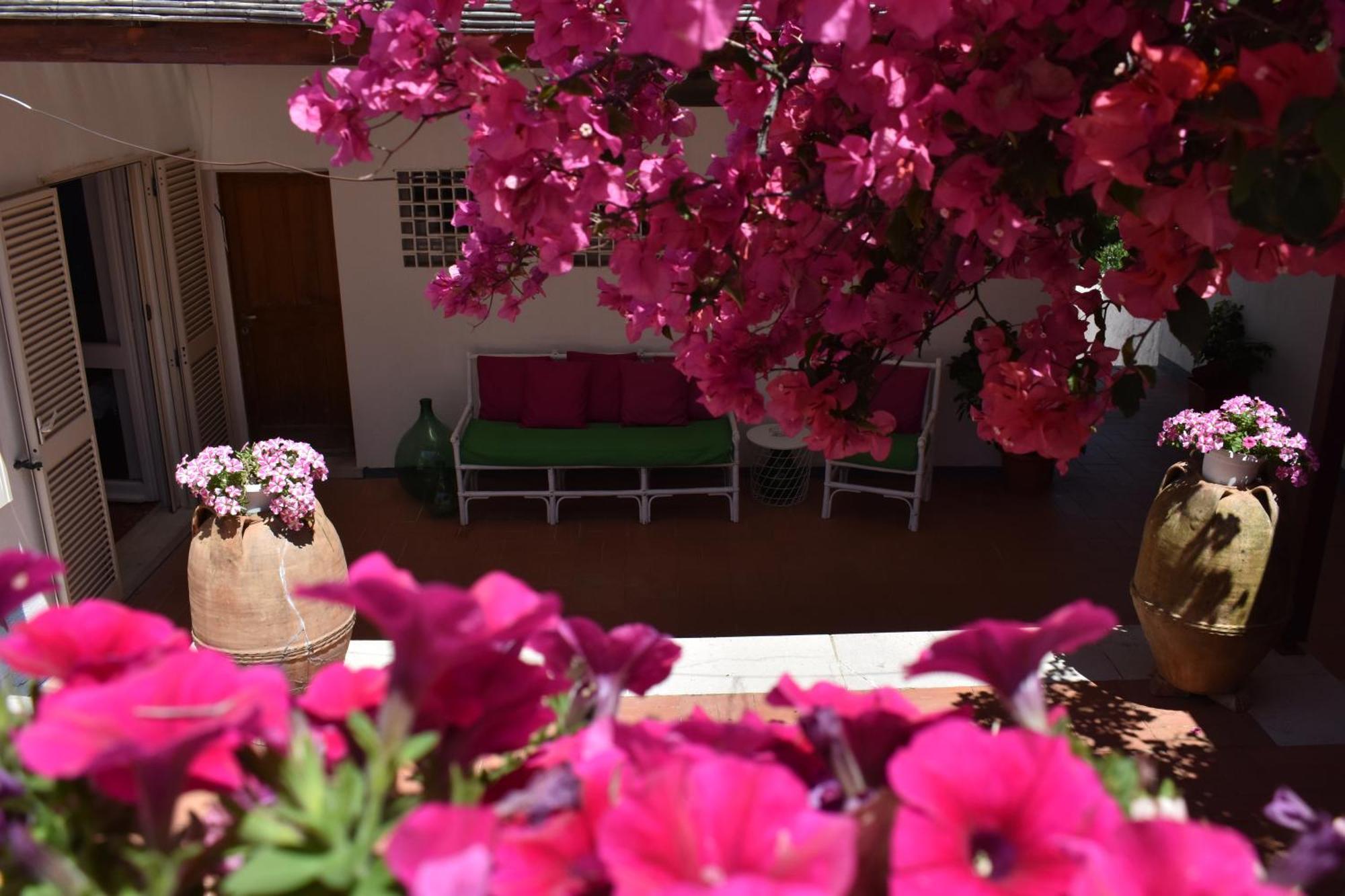 B&B Casabianca Palinuro Εξωτερικό φωτογραφία