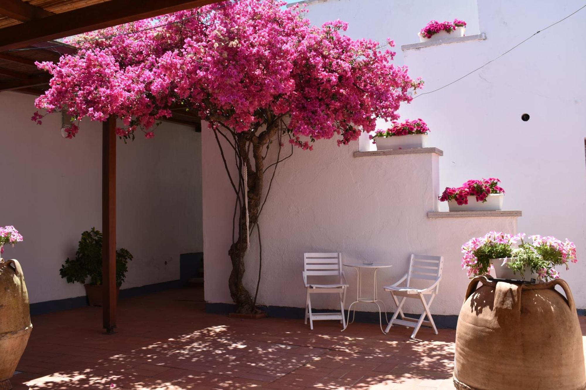 B&B Casabianca Palinuro Εξωτερικό φωτογραφία