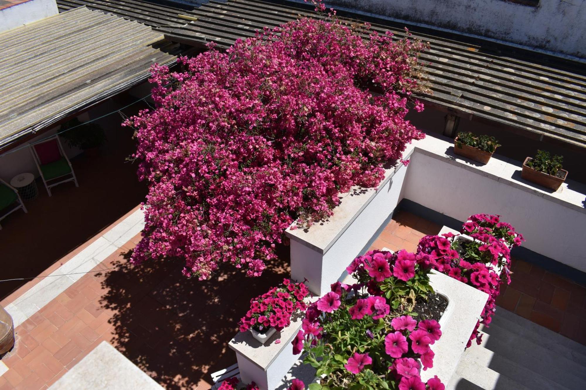 B&B Casabianca Palinuro Εξωτερικό φωτογραφία