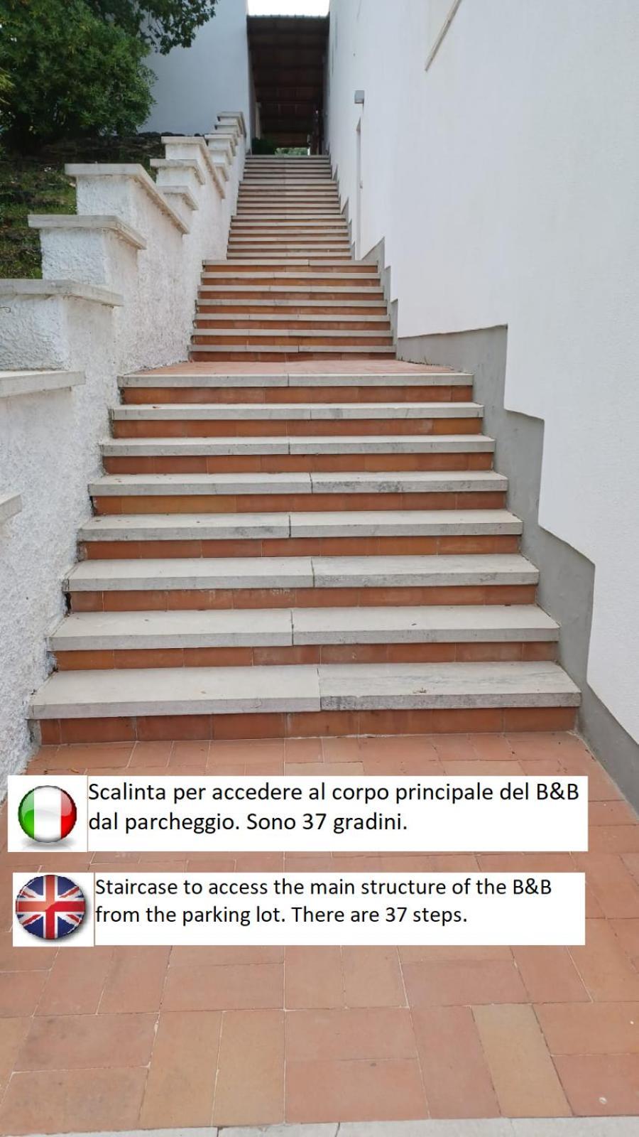 B&B Casabianca Palinuro Εξωτερικό φωτογραφία
